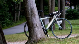 Ein Fahrrad lehnt an einem Baum. (Symbolbild)