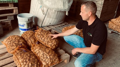 Kartoffelernte in Lauffen am Neckar. Thorsten Roth Beratungsdienst Kartoffelanbau.