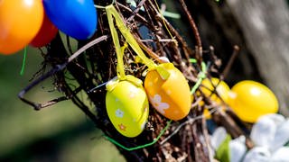 Ostern. Symbolbild. Bunte Ostereier hängen an einem Strauch im Ortskern.