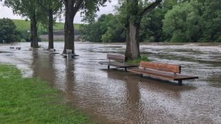 Der Dauerregen lässt den Neckar in Lauffen über die Ufer treten