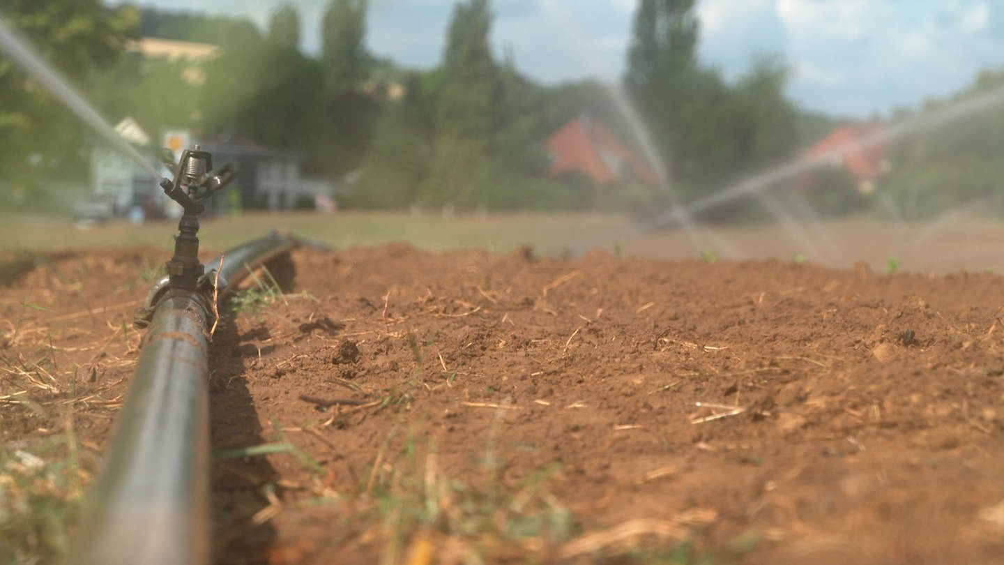 Trockenheit großes Problem für Landwirte