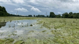 Hochwasser Felder