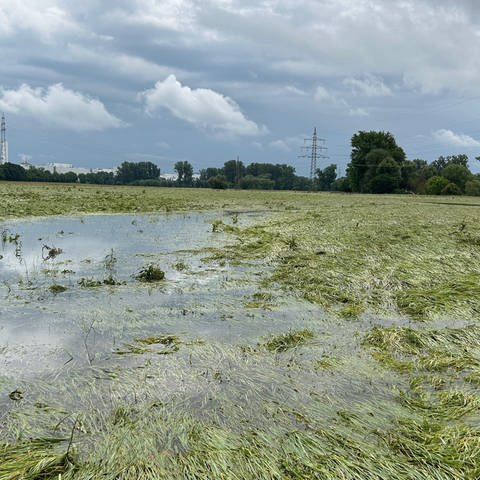 Hochwasser Felder
