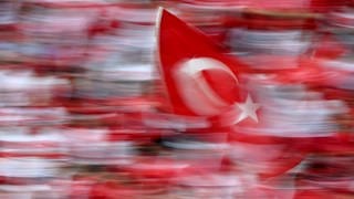 Türkische Fans feiern nach dem Sieg über Österreich (Symbolbild)