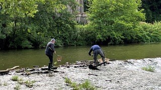 Bei einer ersten Aktion wurden rund 200 Kilogramm tote Fische aus der Jagst geborgen.