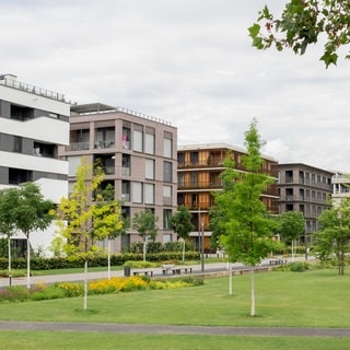 Mehrere Gebäude am Neckarbogen in Heilbronn. Architektur. Symbolbild.