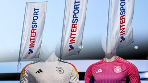 Intersport DfB-Trikot (Montage) 