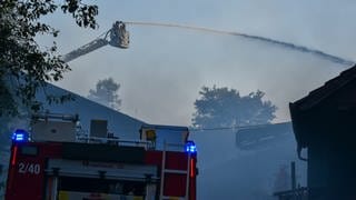 Bei einem Brand in einer Scheune in Forchtenberg (Hohenlohekreis) sind am Montagnachmittag 20 Rinder gestorben.