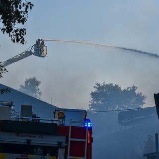 Bei einem Brand in einer Scheune in Forchtenberg (Hohenlohekreis) sind am Montagnachmittag 20 Rinder gestorben.