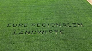 Schriftzug Eure Regionalen Landwirte in einem Maisfeld bei Ilsfeld (Kreis Heilbronn)