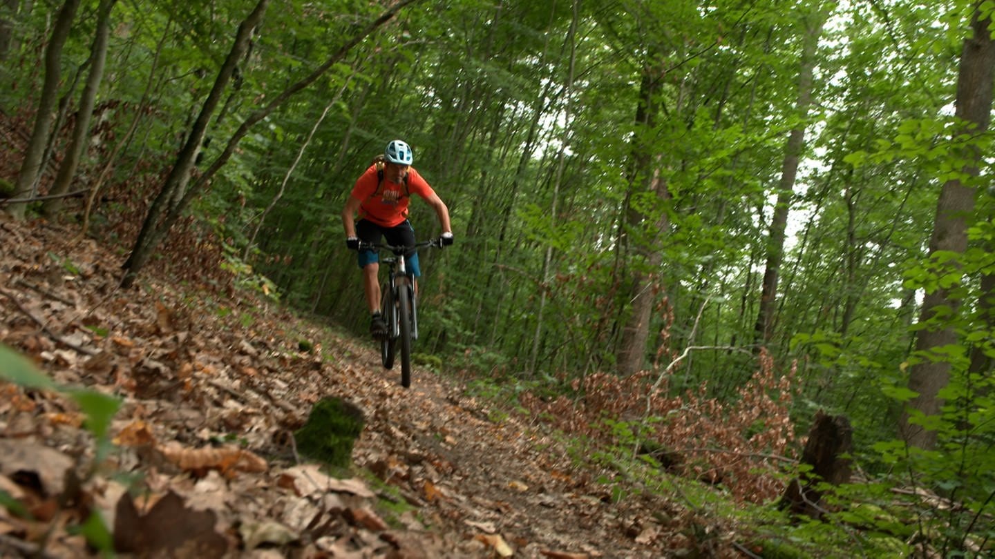 Mountainbiker auf einem Trail bei Eberstadt