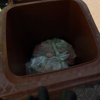 Im Kreis Heilbronn verteilt die Müllabfuhr gelbe Karten, wenn im Biomüll zu viel drin ist, was da nicht reingehört.