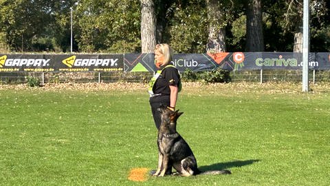 Bundessiegerprüfung der Schäferhunde