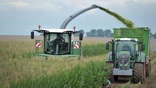 Ein Maishäcksler auf dem Feld (Symbolbild)