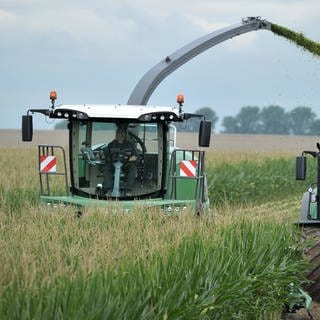 Ein Maishäcksler auf dem Feld (Symbolbild)