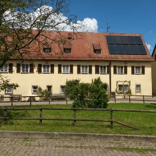 An der Außenstelle des Heilbronner Gefängnisses in Talheim wird der erste Bio-Wein der Gefangenen gelesen.