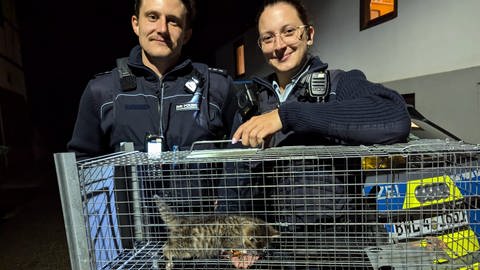 Nils Baumann und Kollegin Nora Neubauer retteten auf der A6 zwei Katzenbabys 