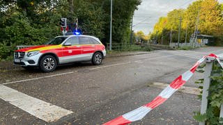 Trappensee Heilbronn: Baum stürzt auf Oberleitung