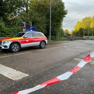 Trappensee Heilbronn: Baum stürzt auf Oberleitung