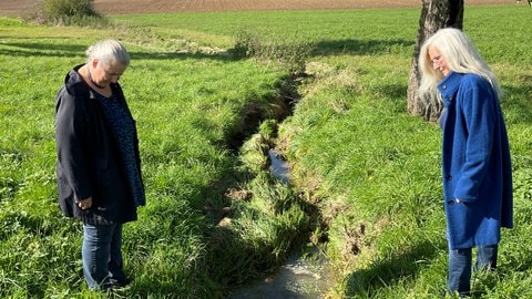 Der Michelbach bei Gerabronn im Landkreis Schwäbisch Hall.