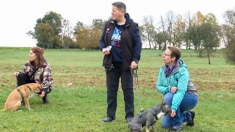 Schusstraining für Welpen