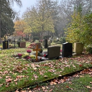 Gräber auf einem Friedhof in Heilbronn