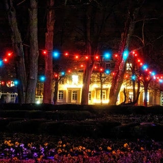 In Bad Mergentheim (Main-Tauber-Kreis) erstrahlt der Kurpark für vier Monate in wechselnden Illuminationen.