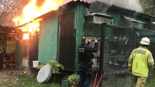 Die Heilbronner Feuerwehr rettet bei einem Brand 120 Tauben.