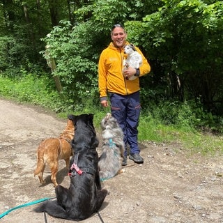 Dogwalker Marco Aldinger bietet einen Gassi-Service rund um Heilbronn an