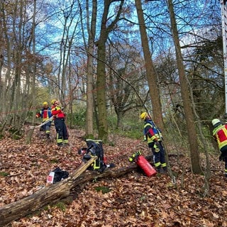 Gleitschirmfleiger muss aus Baumkrone gerettet werden in Bretzfeld