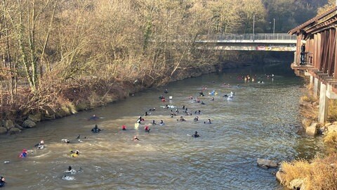 Beim traditionellen Kocherabschwimmen in Schwäbisch Hall schwimmen zahlreiche Menschen auch bei kalten Temperaturen.