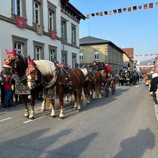 Pferdemarkt Gaildorf 2025