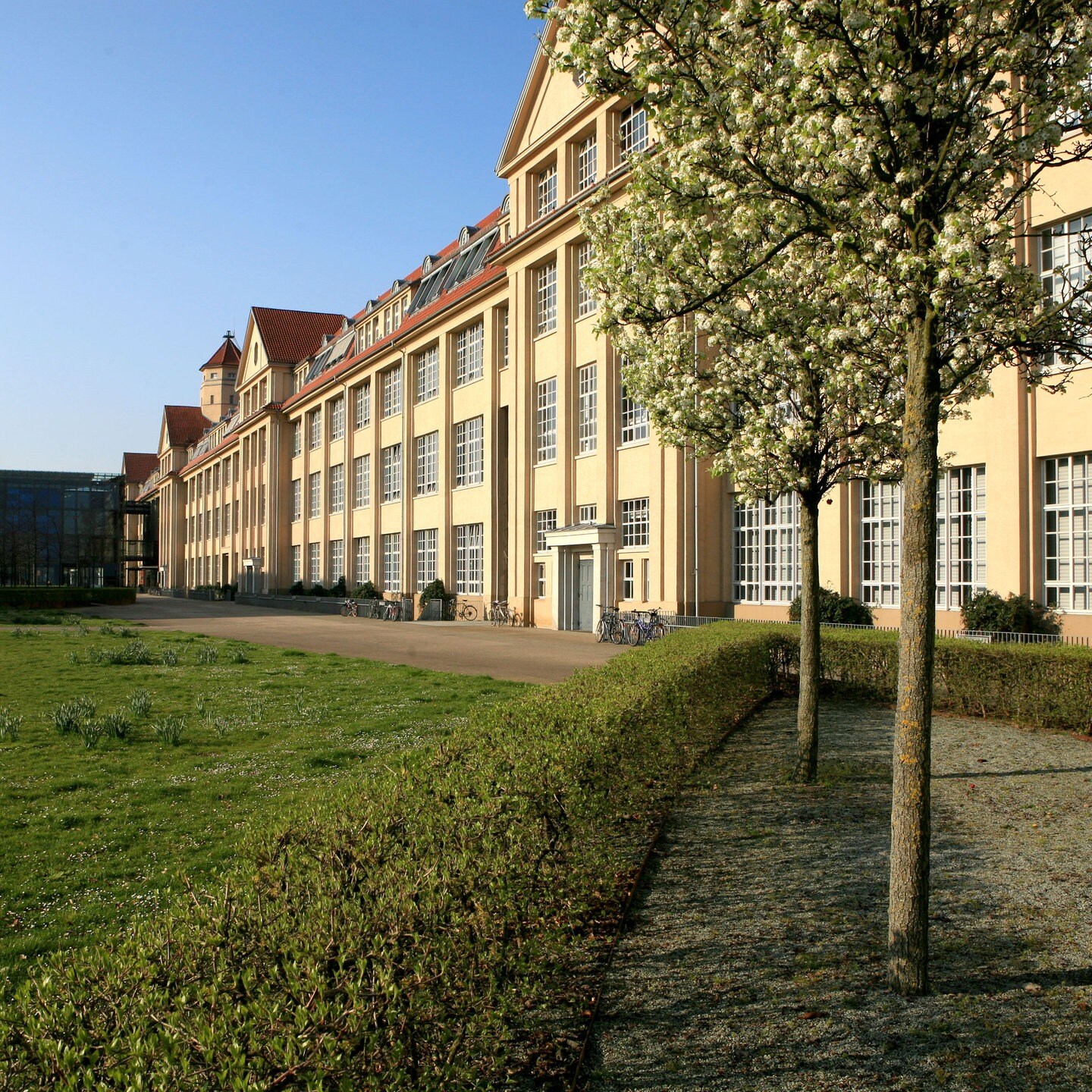 Hochschule Für Gestaltung Karlsruhe: Rektor Jan Boelen Abgewählt - SWR ...