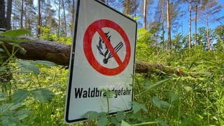 Schild mit der Aufschrift Waldbrandgefahr