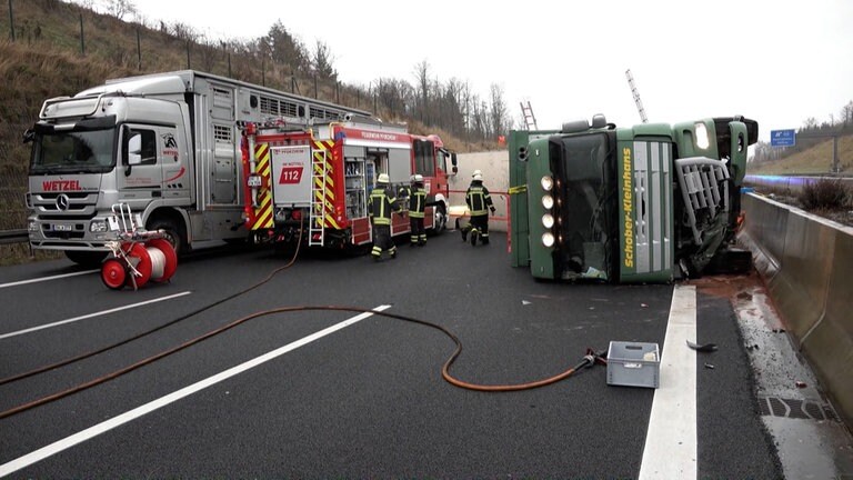 Unfall Mit Tiertransporter Auf Der A8 Bei Pforzheim - SWR Aktuell