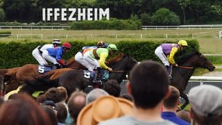 Pferderennen auf der Galopprennbahn Iffezheim