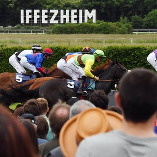 Pferderennen auf der Galopprennbahn Iffezheim