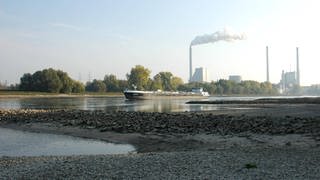 Niedrigwasser: Im Rheinhafen in Karlsruhe müssen mehr Schiffe abgefertigt werden
