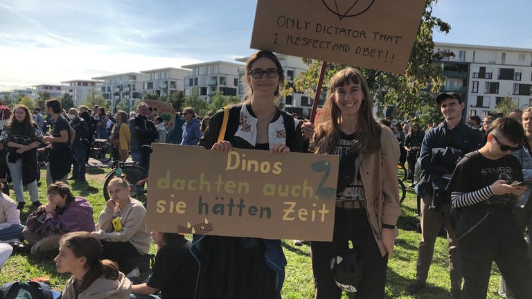 Globaler Klimastreik in Karlsruhe