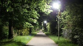 Dunkler Weg mit Grün drumherum - am Rande steht eine Straßenleuchte mit insektenfreundlicher LED Lampe in Karlsruhe