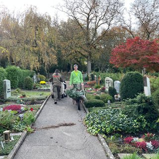 Friedhofsgärtner Fabrice Rausch ein Tag vor Allerheiligen mit Schubkarre auf dem Friedhof in Karlsruhe-Durlach.