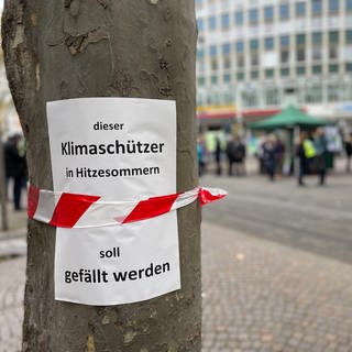 Klimabündnis will Platanen in Karlsruhe retten