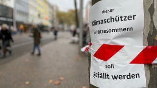 Klimabündnis will Platanen in Karlsruhe retten