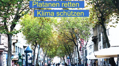 Postkarte, die das Klimabündnis Karlsruhe an den Oberbürgermeister Frank Mentrup geschickt hat, um die Fällung der Platanen in der Kaiserstraße Karlsruhe zu verhindern. 