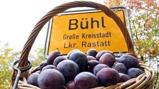 Im Vordergrund ein Korb mit Bühler Zwetschgen. Dahinter das Ortsschild von Bühl im Landkreis Rastatt