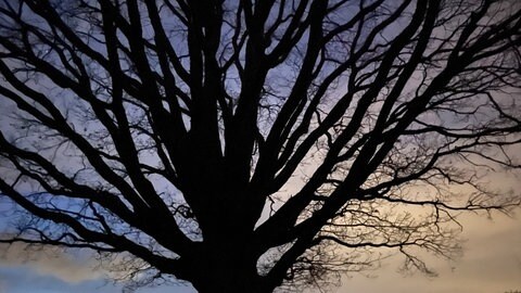 Kurz vor Sonnenuntergang: Wanderung durch den Schwarzwald während der Zeit der mystischen Rauhnächte 