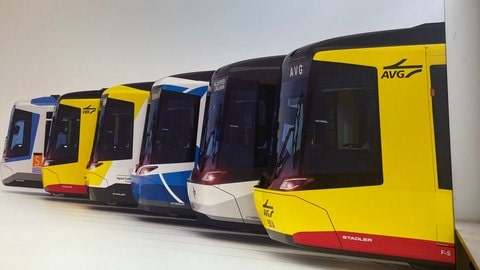 Einzigartiges Beschaffungsmodell beim TramTrain-Projekt nach Aussage der Verkehrsbetriebe Karlsruhe, viele gleiche Teile aber individuelle Lösungen möglich.