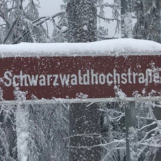 Die Schwarzwaldhochstraße im Schnee