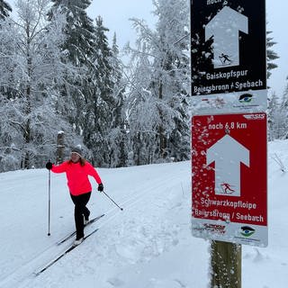 Langlauf auf der Schwarzkopfloipe am Seibelseckle