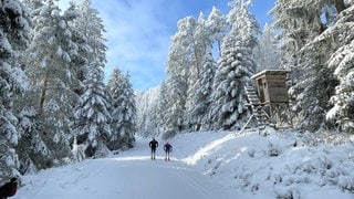 Wintersportler an der Schwarzwaldhochstraße